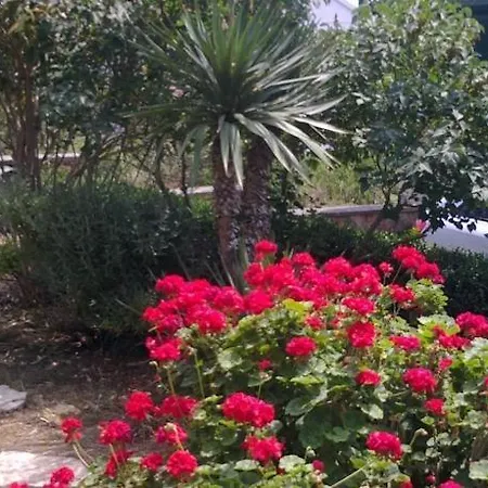In With Sea View, Loggia,air Conditioning, Wifi 4565-1 Apartment
